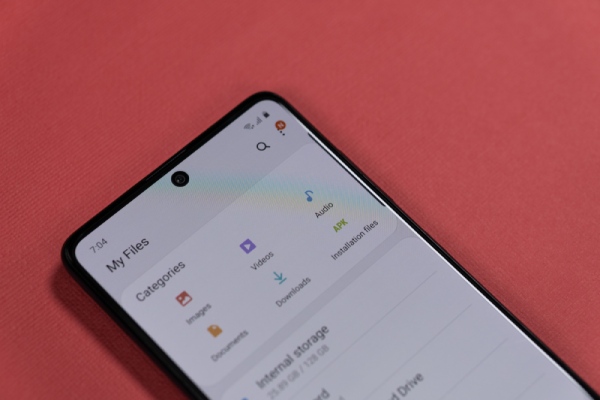 File Manager